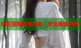 暗区禁网账号共享：安全高效协作