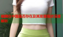 暗网在中国是否存在及其发展现状深度解析