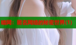 暗网：匿名网络的秘密世界(1)