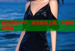 暗区禁网APP：安全匿名上网，突破网络限制