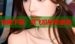 暗网下载：纸飞机秘密通道