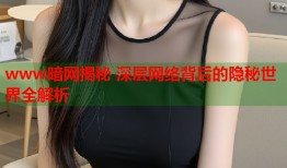 www暗网揭秘 深层网络背后的隐秘世界全解析