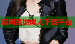 暗网禁地成人下载平台