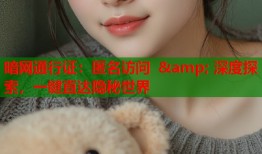 暗网通行证：匿名访问 &amp; 深度探索，一键直达隐秘世界