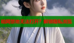 暗网禁地无法打开？解锁隐私浏览