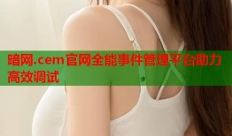 暗网.cem官网全能事件管理平台助力高效调试