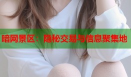 暗网景区：隐秘交易与信息聚集地