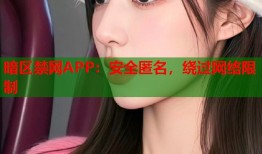 暗区禁网APP：安全匿名，绕过网络限制