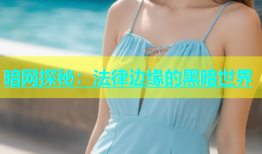 暗网探秘：法律边缘的黑暗世界