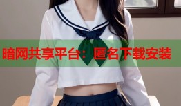 暗网共享平台：匿名下载安装