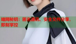 暗网秘钥：匿名通讯、安全文件分享，即刻掌控