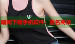 暗网下载手机软件：匿名高效
