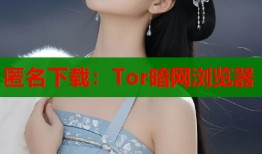匿名下载：Tor暗网浏览器