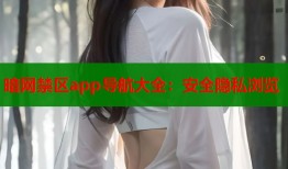 暗网禁区app导航大全：安全隐私浏览