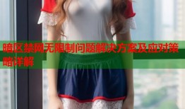 暗区禁网无限制问题解决方案及应对策略详解