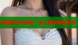 暗网禁区与禁地：深入探索隐秘世界