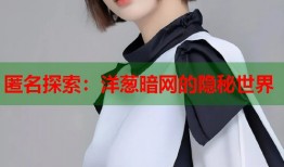 匿名探索：洋葱暗网的隐秘世界