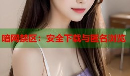 暗网禁区：安全下载与匿名浏览