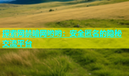 探索网禁暗网哟哟：安全匿名的隐秘交流平台
