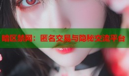 暗区禁网：匿名交易与隐秘交流平台