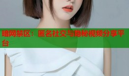 暗网禁区：匿名社交与隐秘视频分享平台