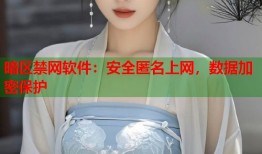 暗区禁网软件：安全匿名上网，数据加密保护