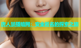 唐人禁播暗网：安全匿名的探索之旅