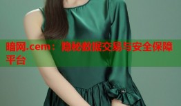 暗网.cem：隐秘数据交易与安全保障平台