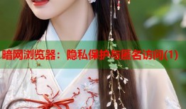 暗网浏览器：隐私保护与匿名访问(1)