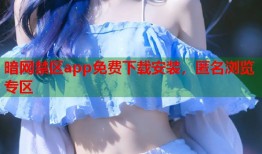 暗网禁区app免费下载安装，匿名浏览专区
