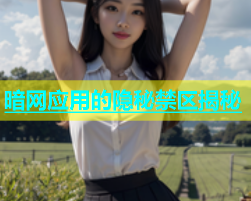 暗网应用的隐秘禁区揭秘