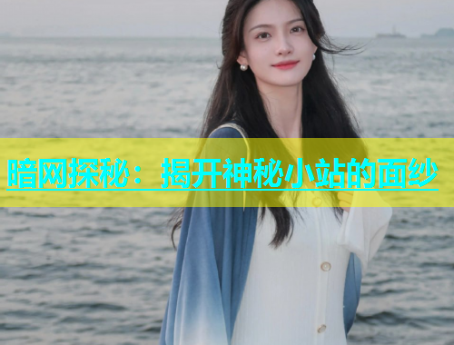 暗网探秘：揭开神秘小站的面纱
