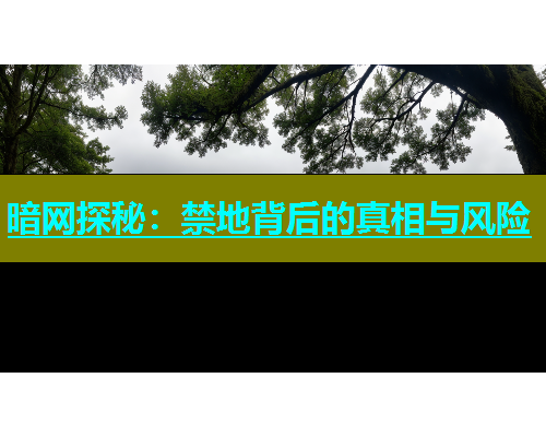 暗网探秘：禁地背后的真相与风险