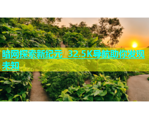 暗网探索新纪元 32.5K导航助你发现未知