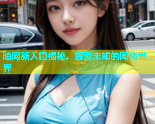 暗网新入口揭秘，探索未知的网络世界