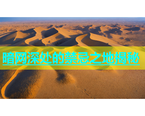 暗网深处的禁忌之地揭秘