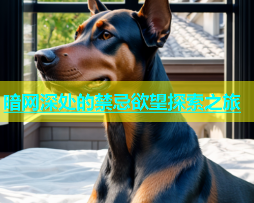 暗网深处的禁忌欲望探索之旅
