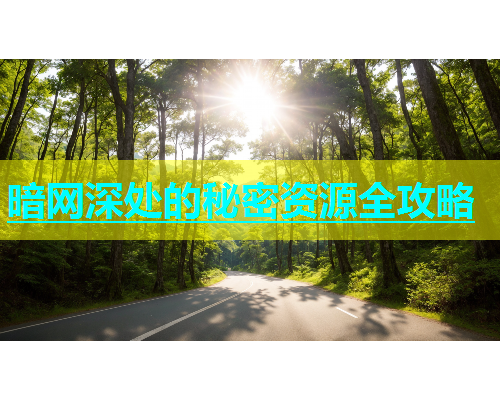 暗网深处的秘密资源全攻略