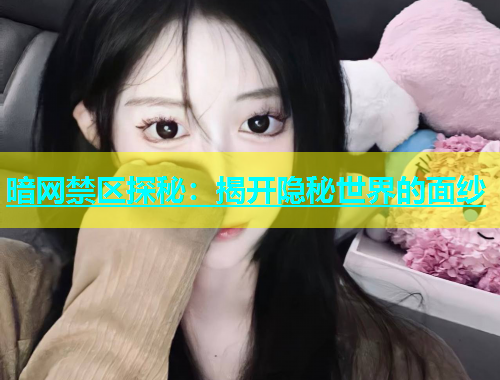 暗网禁区探秘：揭开隐秘世界的面纱