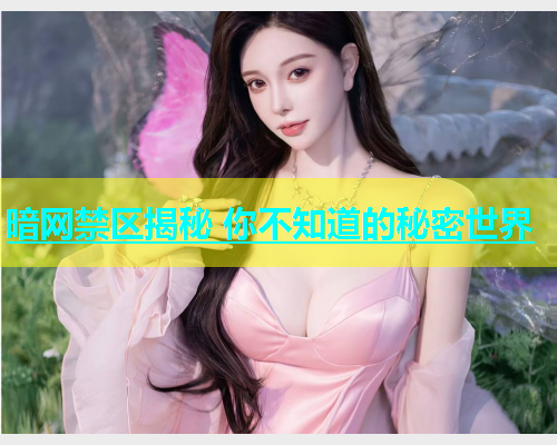 暗网禁区揭秘 你不知道的秘密世界