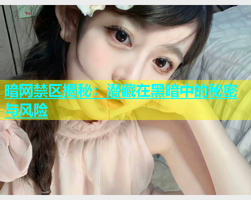 暗网禁区揭秘：潜藏在黑暗中的秘密与风险