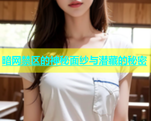 暗网禁区的神秘面纱与潜藏的秘密