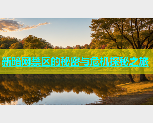 新暗网禁区的秘密与危机探秘之旅