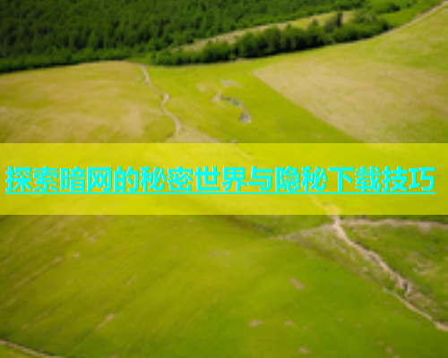 探索暗网的秘密世界与隐秘下载技巧