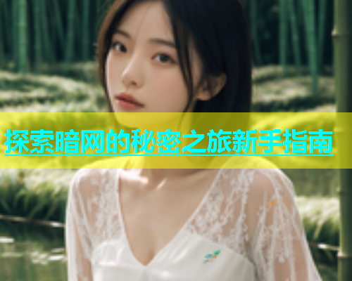 探索暗网的秘密之旅新手指南