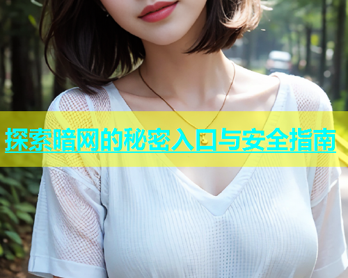 探索暗网的秘密入口与安全指南