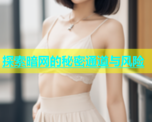 探索暗网的秘密通道与风险