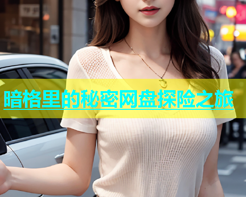 暗格里的秘密网盘探险之旅