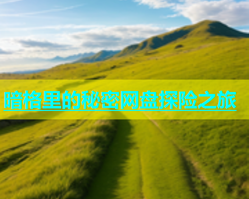 暗格里的秘密网盘探险之旅