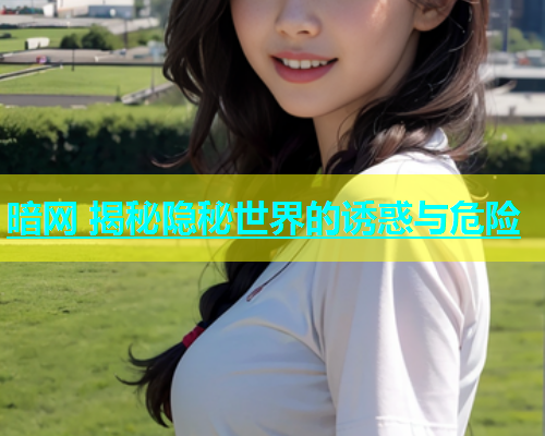 暗网 揭秘隐秘世界的诱惑与危险